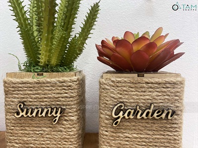 Chậu sen đá vuông quấn dây thừng để bàn [Nhiều kiểu] CHAUCAYGIA-20